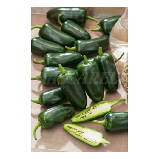 Semillas Pimiento Jalapeño_0