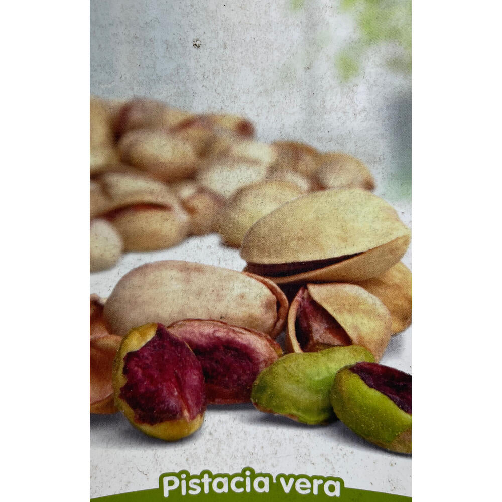 Pistacho Hembra Sirora 10l 150cm_0