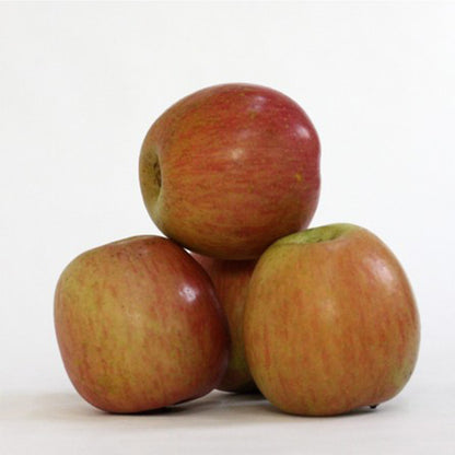 Manzana Fuji Del Bierzo. Caja 10 Kg_0