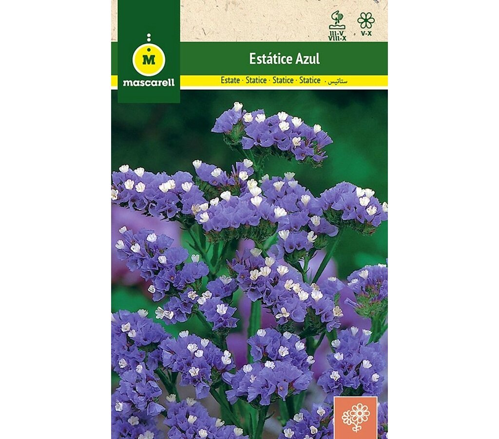 Semillas Estatice Sinuata Azul_0