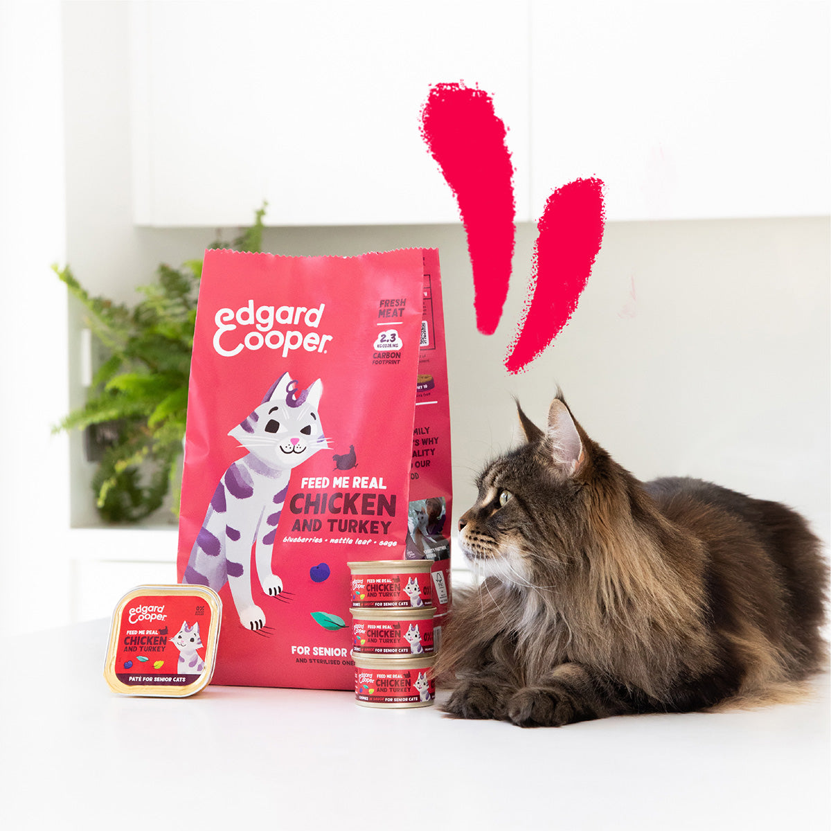 Comida húmeda gatos en salsa Trocitos de Pavo y Pollo Edgard & Cooper 85 g