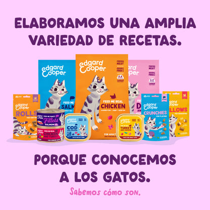 Filetes de salmón y pollo para gatos Edgard &amp; Cooper 70 g