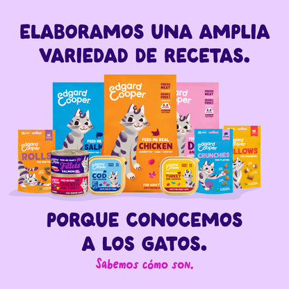 Filetes de salmón y atún para gatos Edgard &amp; Cooper 70 g