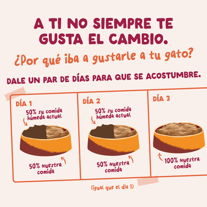 Sobres de comida húmeda Pollo en Salsa para Gatos Adultos | Edgard &amp; Cooper 85 g