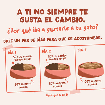 Sobre de Comida Húmeda Trucha &amp; Pollo en Salsa para Gatos Edgard &amp; Cooper 85 g
