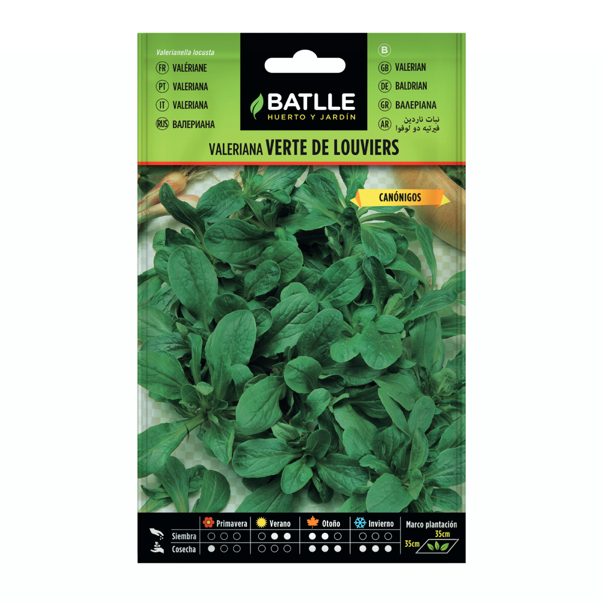 Semillas de Valeriana Verte de Louviers  Batlle