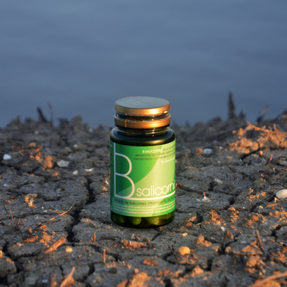 B-salicornia – Extracto Natural De Salicornia Con Vitaminas Del Grupo B_1