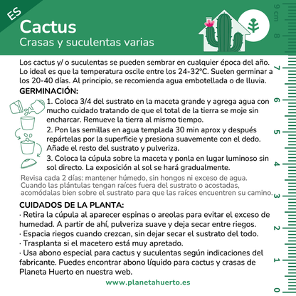 Kit de autocultivo Cactus Planeta Huerto