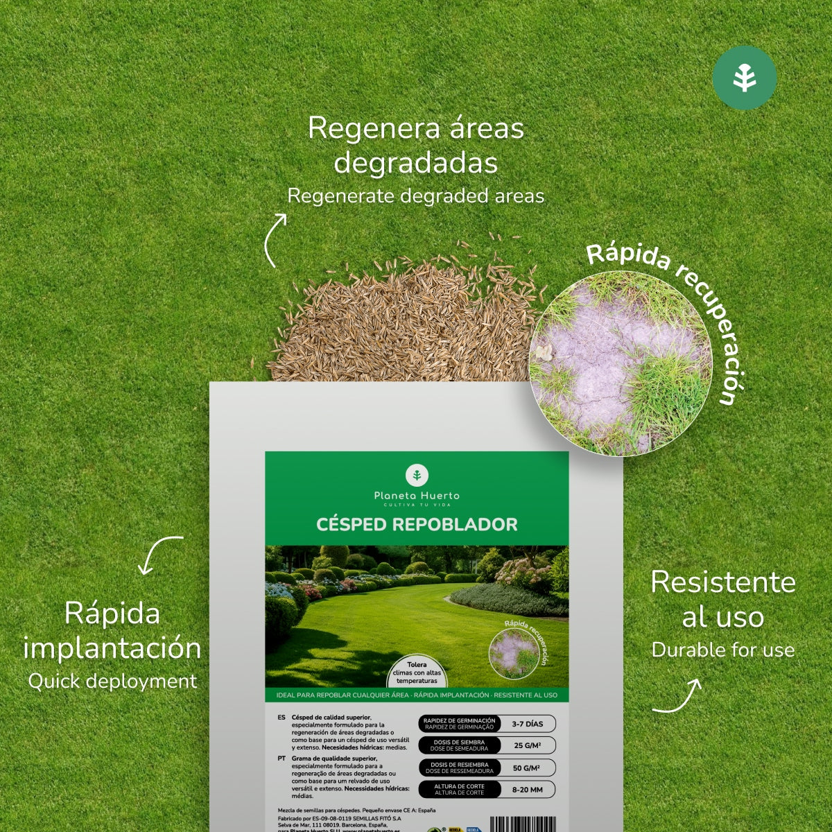 Semillas Césped Repoblador Planeta Huerto 1 kg