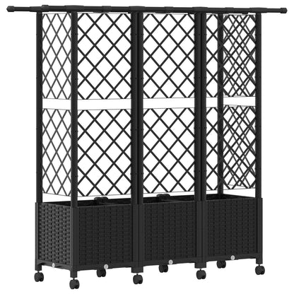 Cama Elevada Con Trellis Y Techo Negro 163,5 X 40 X 142 Cm Pp_4