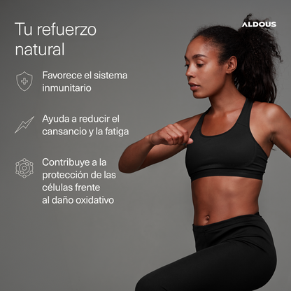 Moringa Bio 2000 mg 300 Cápsulas Aldous Bio