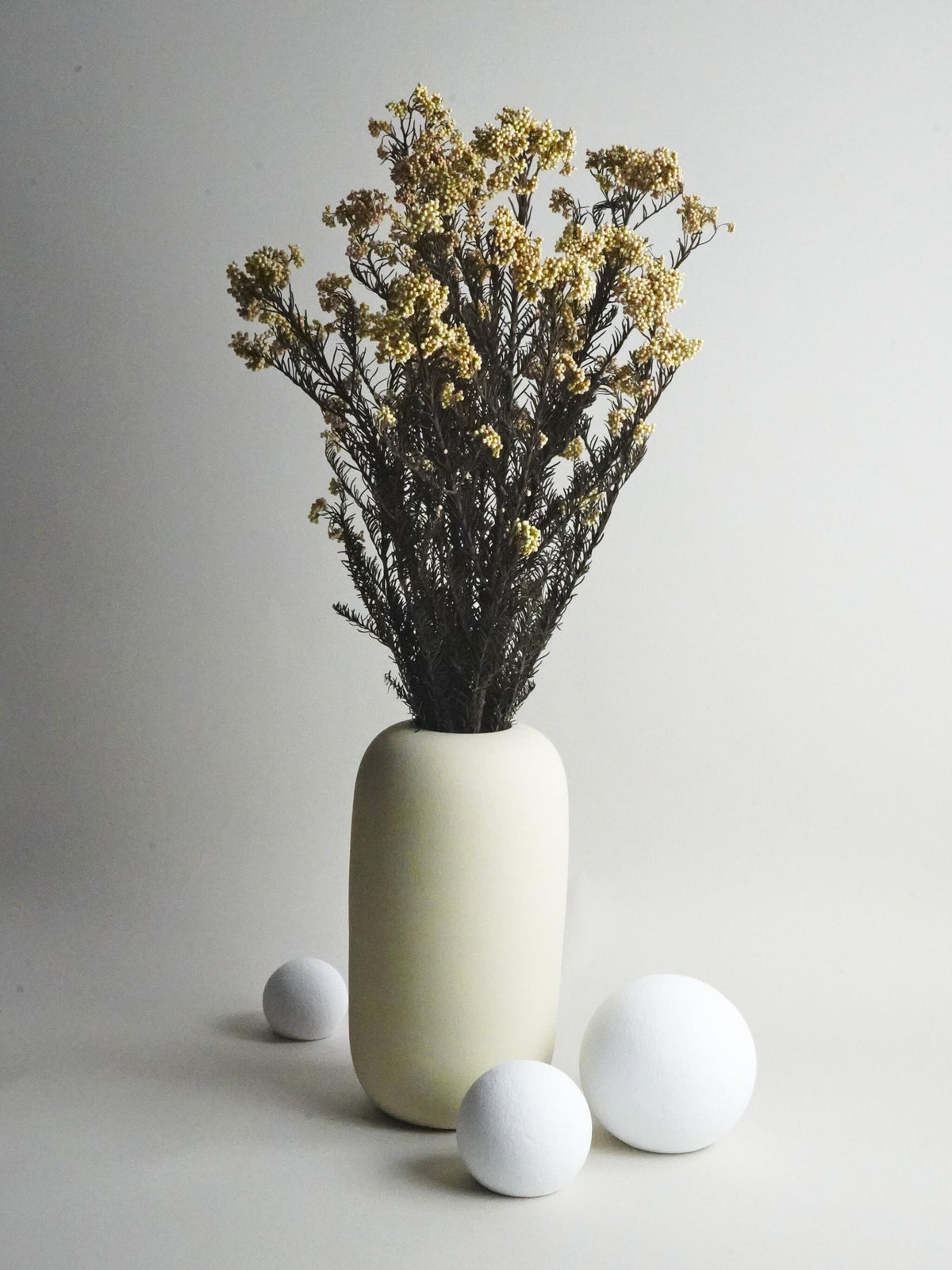 Flor De Arroz Preservado_0