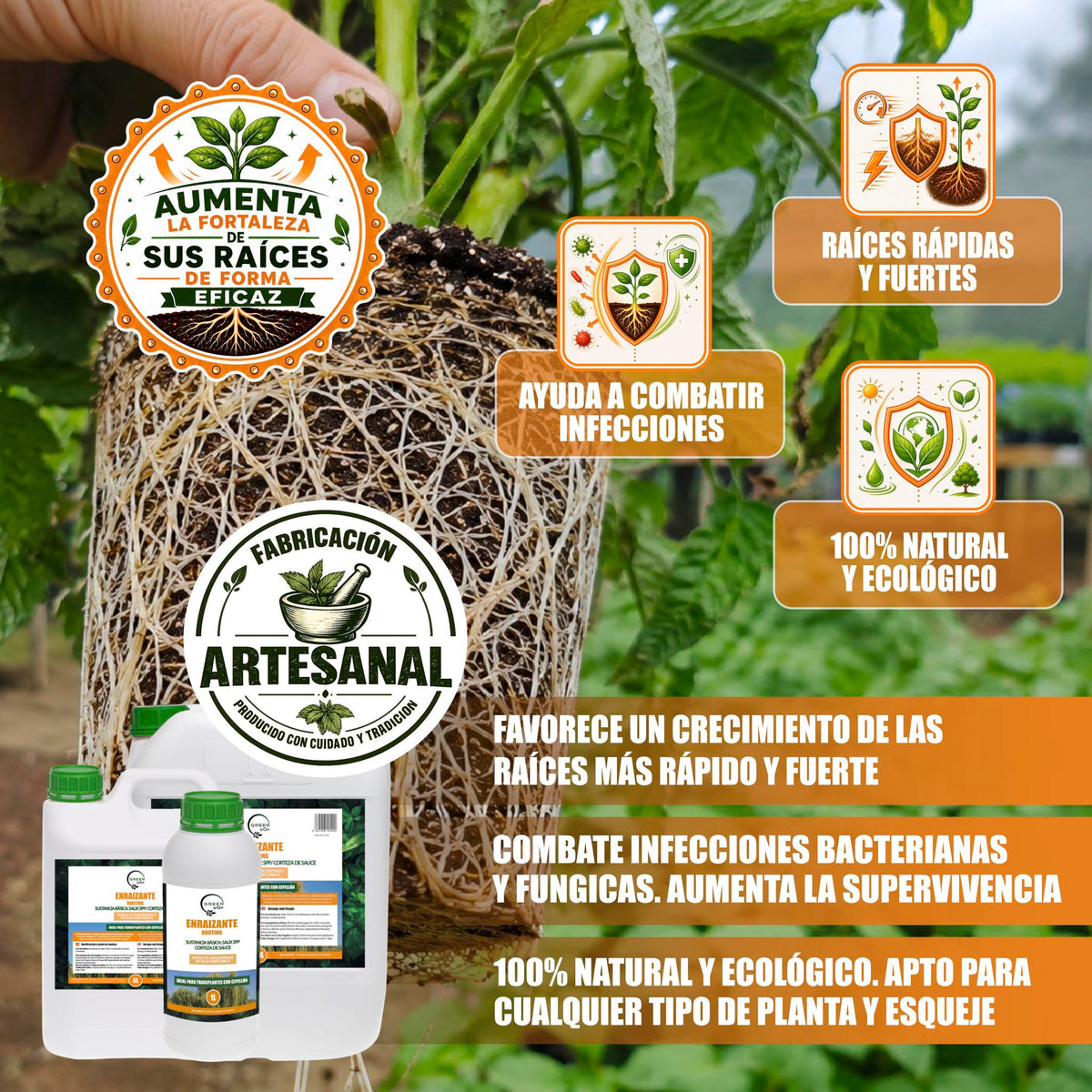 GREEN GOF Enraizante Líquido, 1L. Orgánico con Hormonas Naturales. Estimula y Aumenta el Crecimiento de Raíces._2