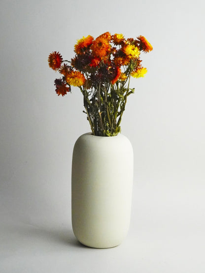 Helichrysum Flor Seca_2