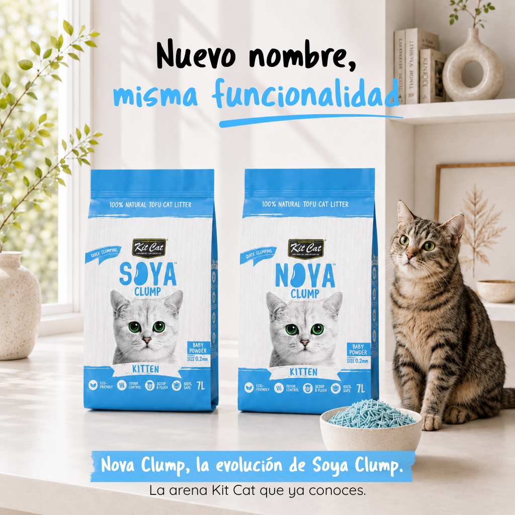 Pack 6 Kit Cat Arena Eco Nova Clump - Kitten Baby Powder 7 L Arena para gatos - Granulado fino Fragancia Suave