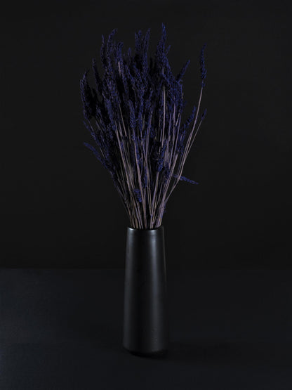 Lavanda Seca_2