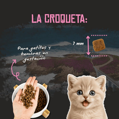 Pienso para Gatitos Aves y Pescado Kitten Grain Free Lenda 2 kg