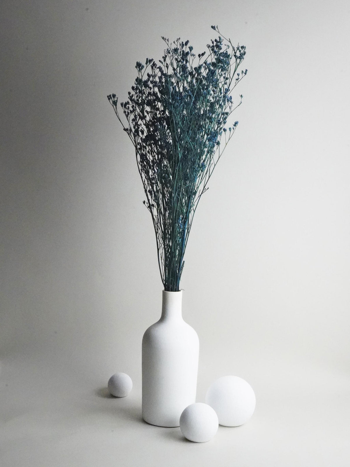 Limonium Preservado_1