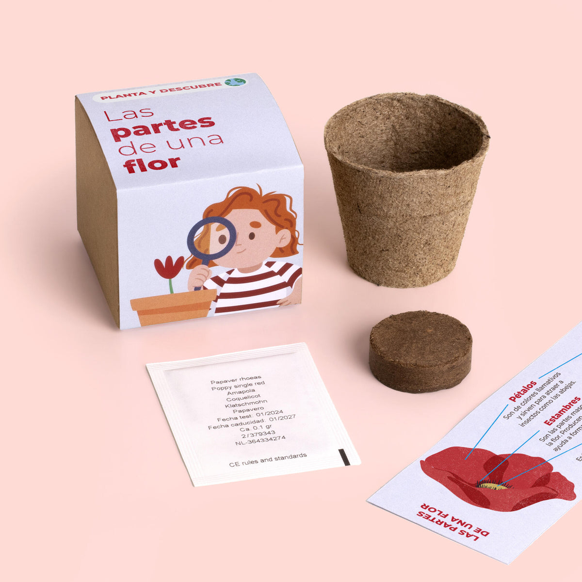 Planta y Descubre – Kit Educativo Partes de una Flor, Aprende Botánica para Niños (STEM) - Resetea_1