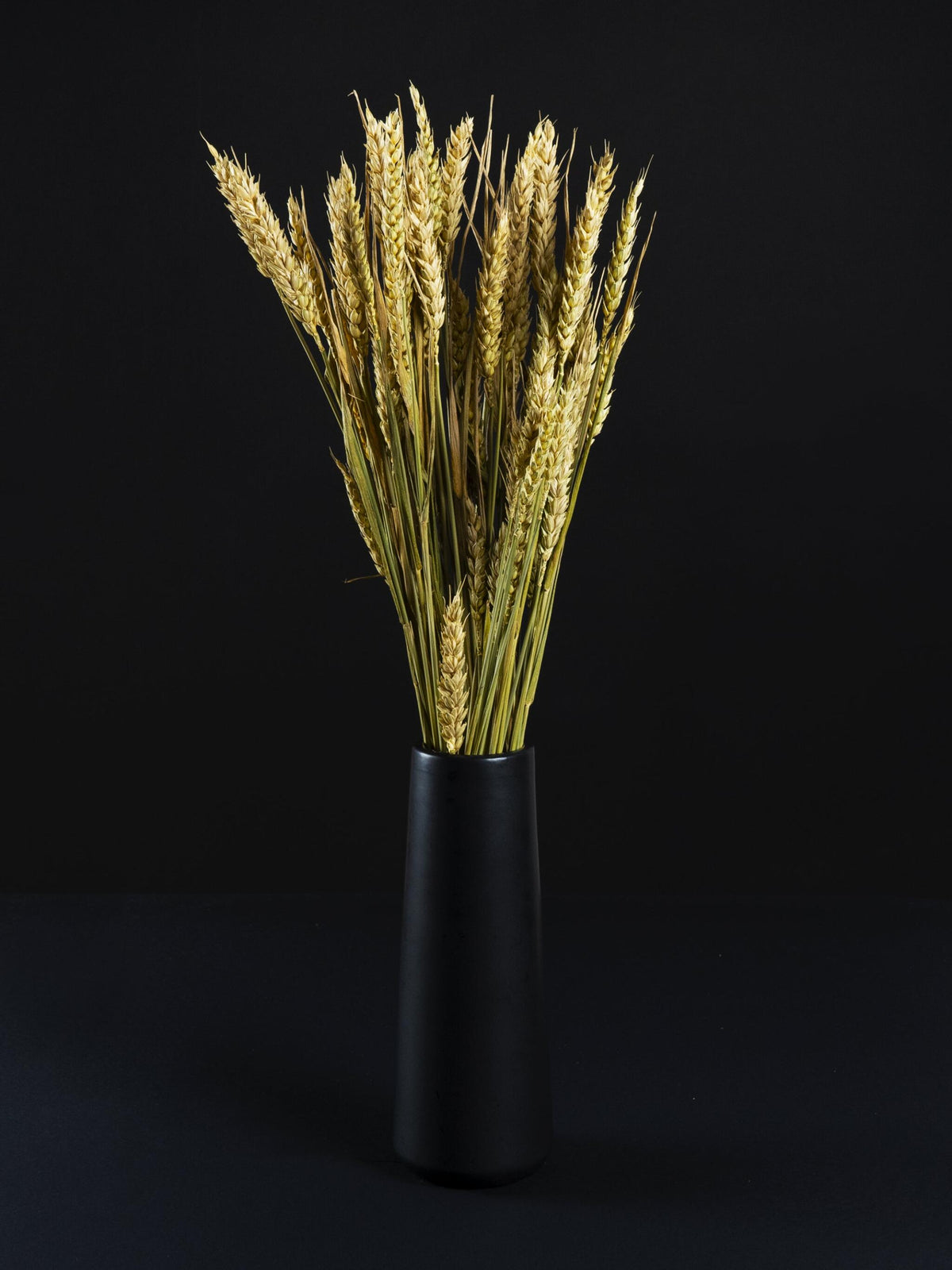 Trigo Seco_2