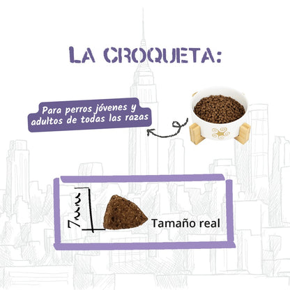 Pienso para Gatos de Interior Esterilizados Urban Lenda 2 kg