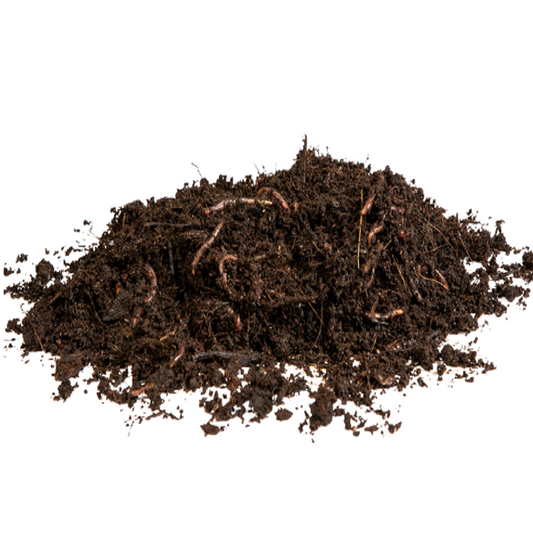 Lombrices Rojas Californianas Para Vermicompost Multihuerto 150 Ud_0