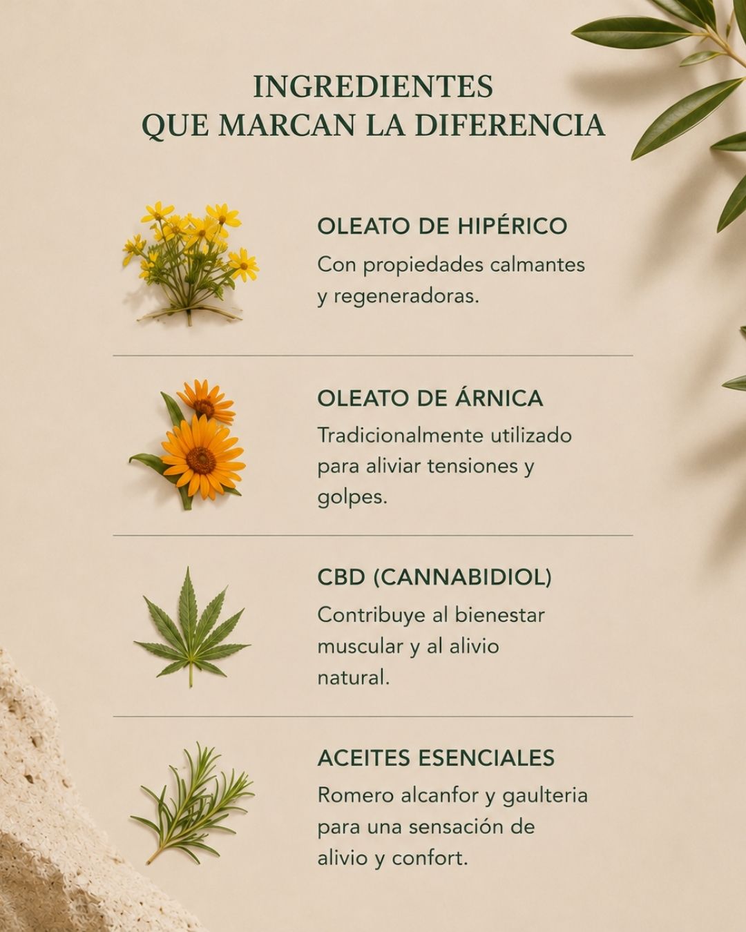 Bálsamo de masaje para molestias musculares y articulares con 10% CBD, Árnica e Hipérico | ALIVIO 50 ml_2