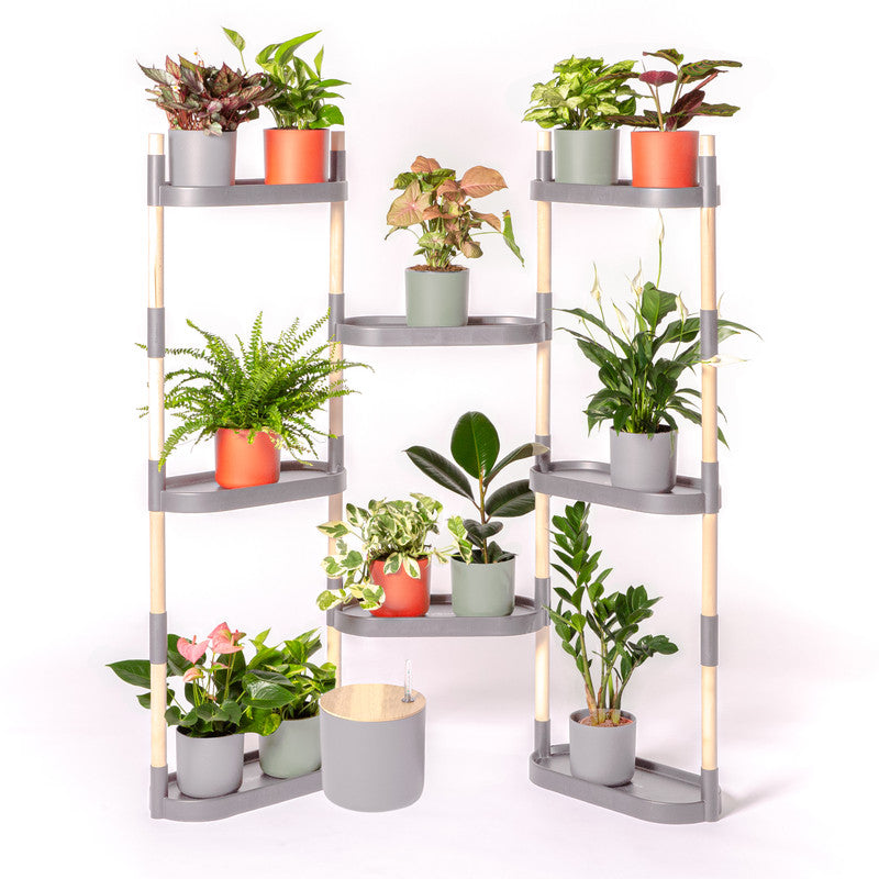 Soporte Modular Citysens De 8 Bandejas – Gris, Polipropileno 100% Reciclado Y Madera Ecológica Pefc_0