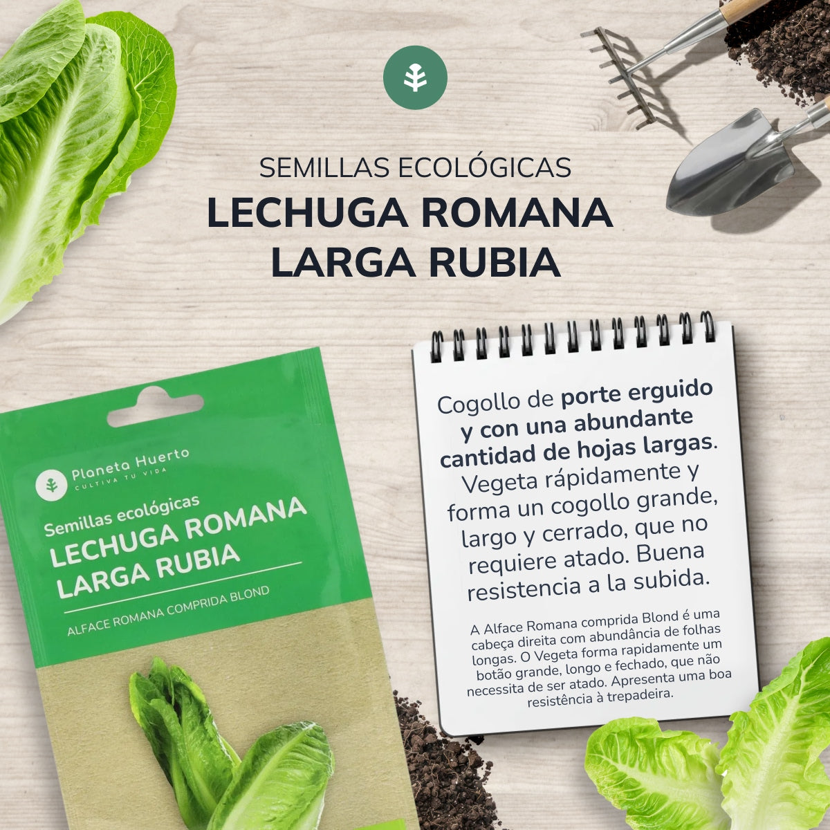 Semillas de Lechuga Romana ecológicas Planeta Huerto