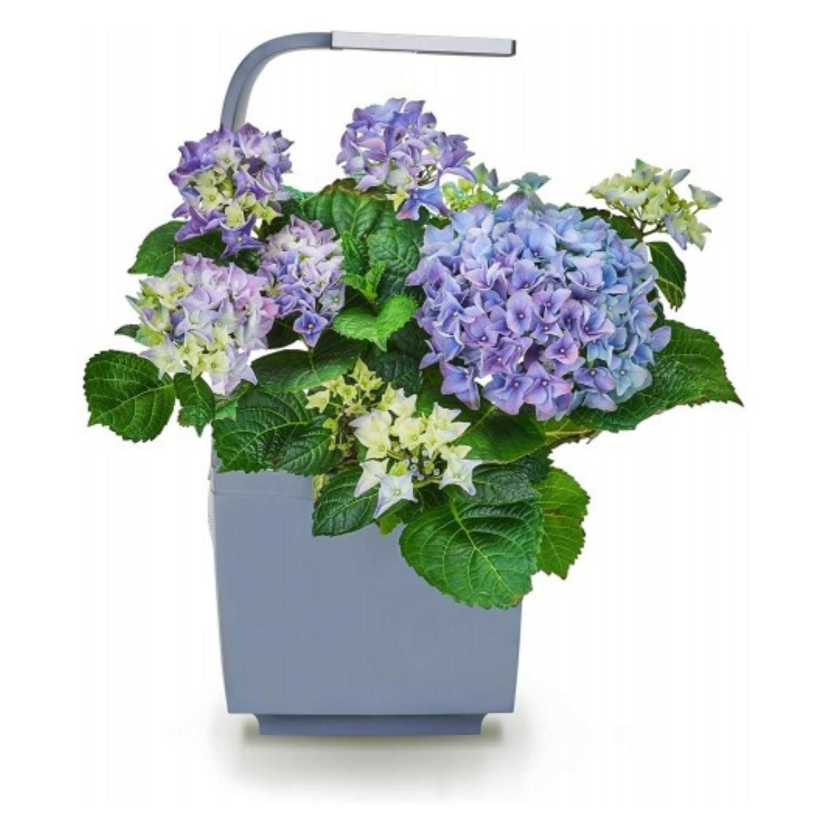 Maceta autocultivo T3 Kitchen Garden 20 x 17,5 cm Negro