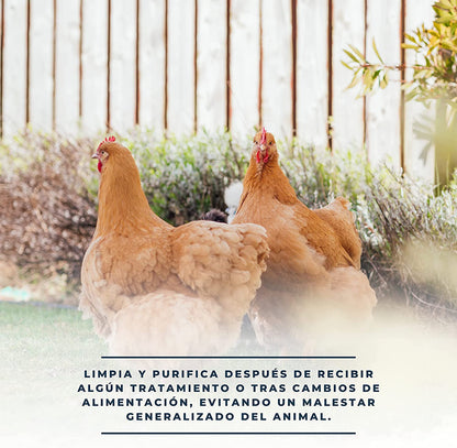 SoluDetox – Complemento nutricional para aves de corral y conejos – Apoyo hepático y nutricional – Formato 250 ml_2