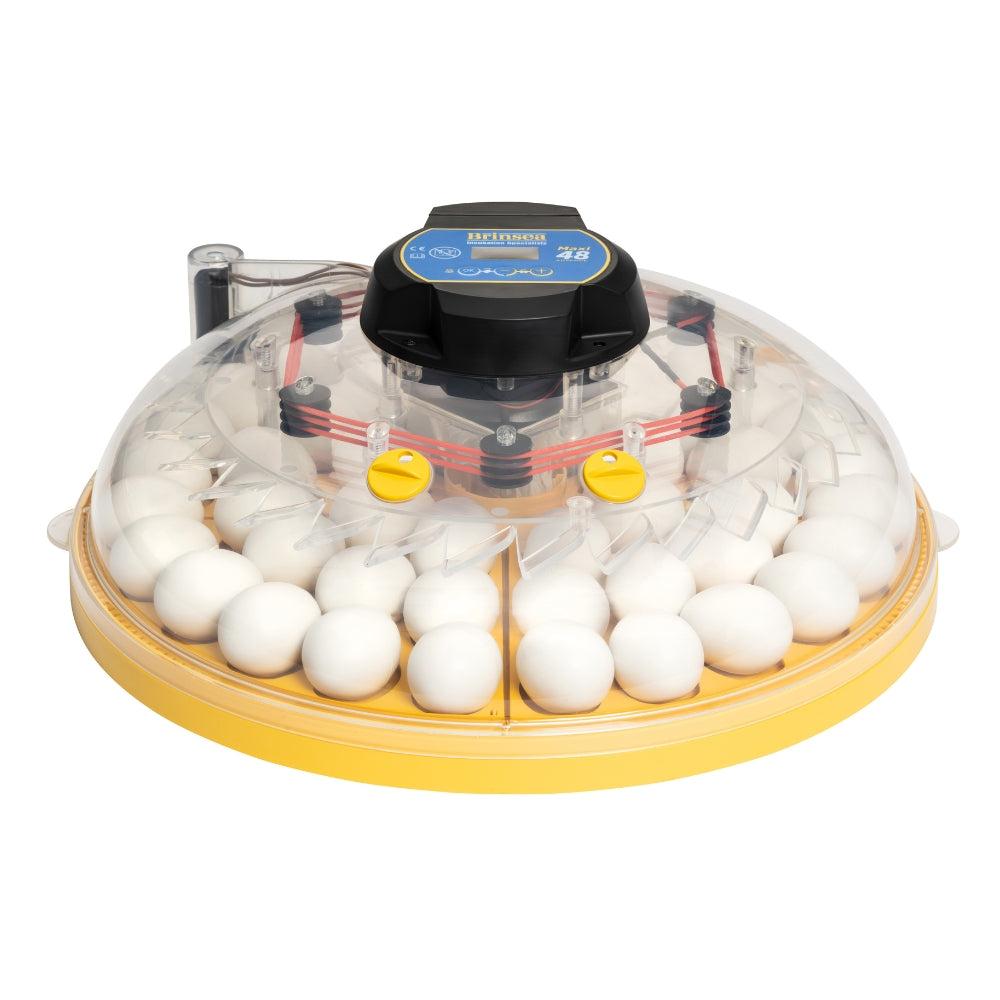 Incubadora Brinsea Maxi 48 Advance - Incubadora Para Huevos De Diferentes Especies De Ave - Con Volteo Automático_0