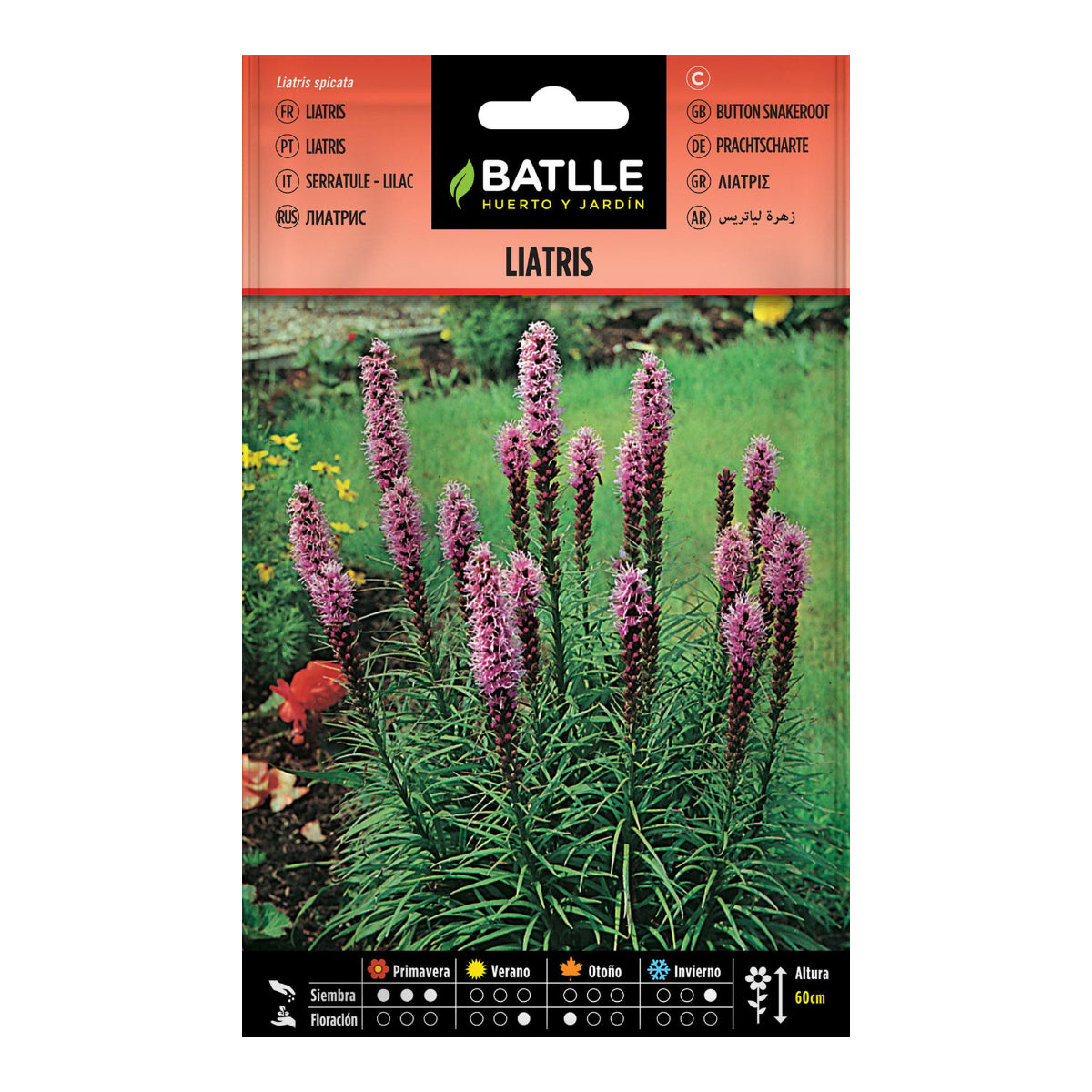 Semillas de Liatris Batlle