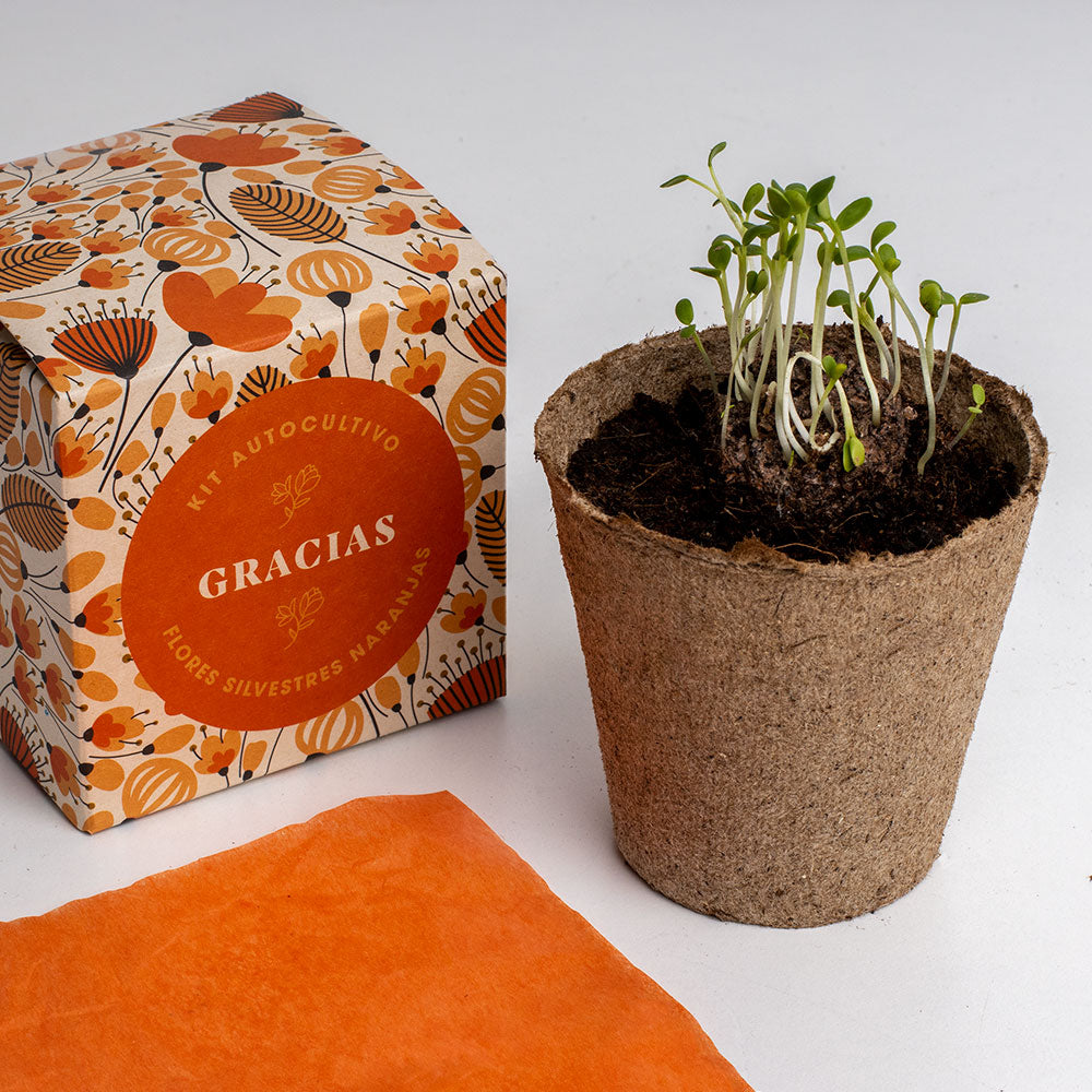 Díselo con Flores "Gracias" Kit Autocultivo Flores Silvestres Naranjas | Regalo Original - Resetea_3