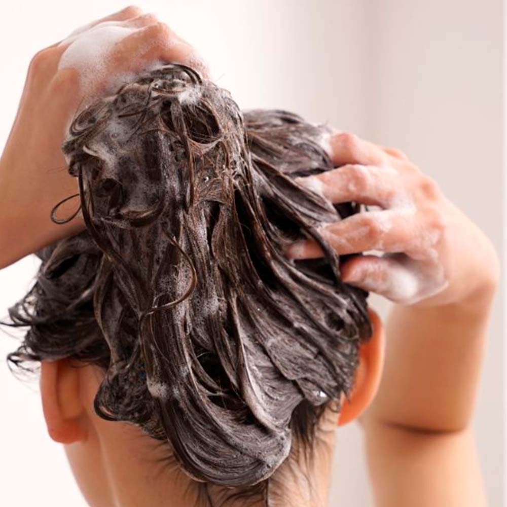 Pack 4 Champú Sólido para Cabello Fino - 100% Natural - Aporta Volumen, Brillo y Suavidad - Con Manteca y Polvo de Cacao_2