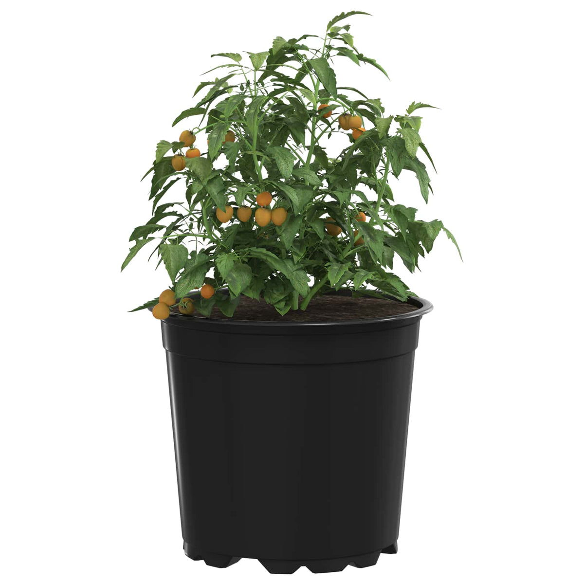 Maceta Redonda Para Flores 50 Uds. Negro Ø 15 X 13 Cm Plástico_2
