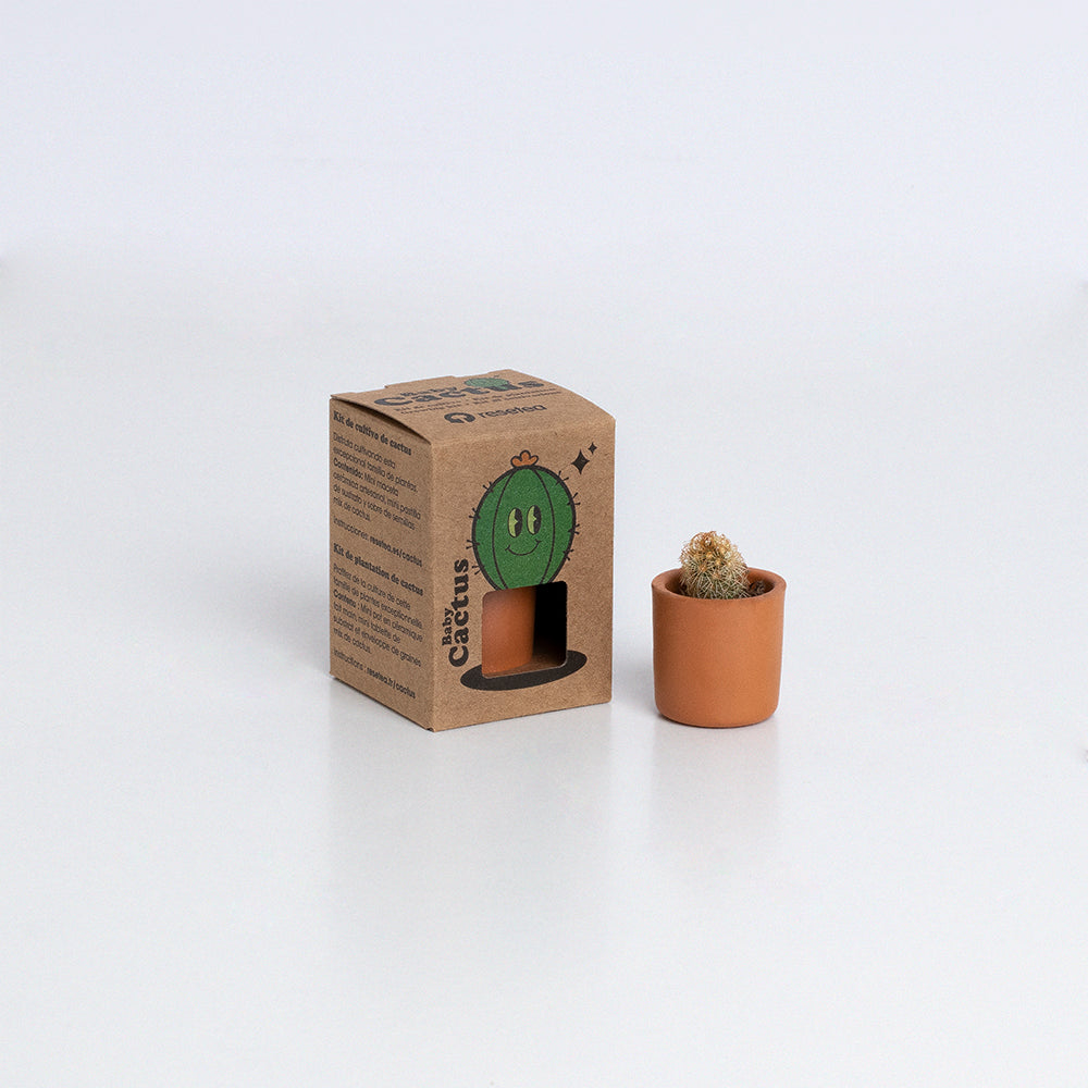 Baby Cactus Kit de Cultivo de Cactus con Maceta de Barro Artesanal | Regalo Original - Resetea_2