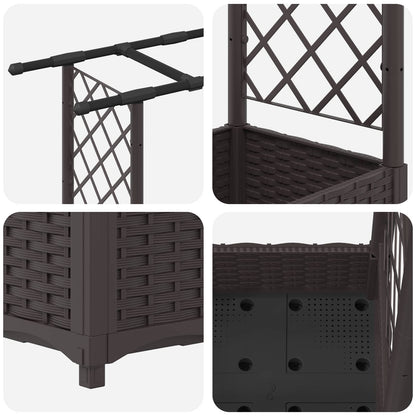Cama Elevada Con Trellis Y Techo Marrón 203 X 40 X 121 Cm Pp_5