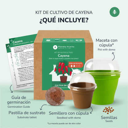 Kit de autocultivo Cayena Planeta Huerto