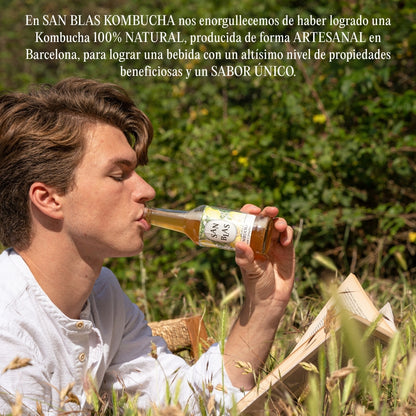 Kombucha Ecologica Artesana | Pack 12 Botellas X 250 Ml | Sin Pasteurizar | Original + Limón Y Jengibre_3