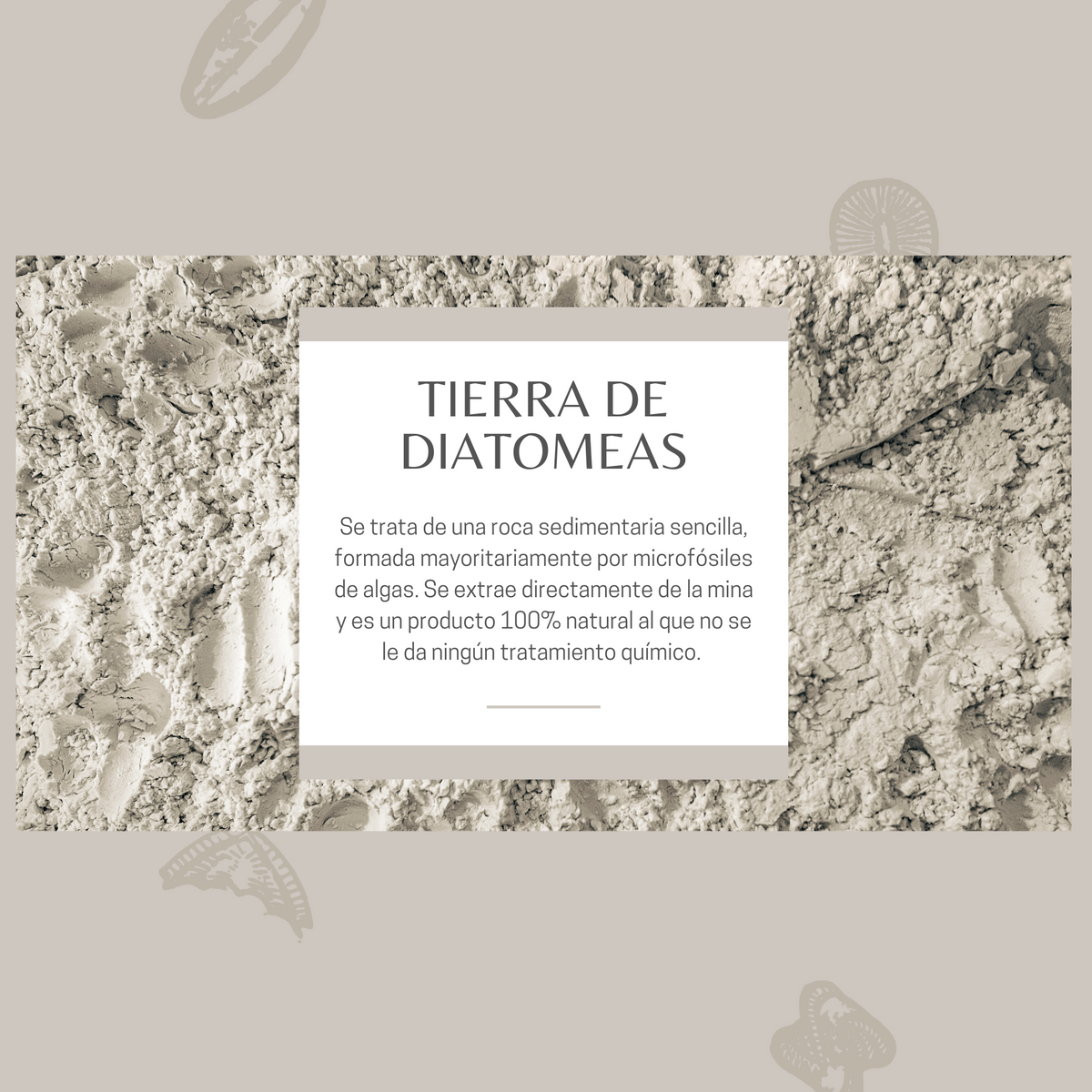 Tierra De Diatomeas Para Ayudar A Mantener El Gallinero Libre De Parásitos - Producto Natural - 2,5kg_1
