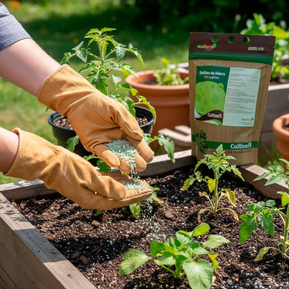 Cultivers Sulfato De Hierro Heptahidratado Granulado 2x1 Kg | Producto Mineral Para Jardinería Y Hogar, Uso Técnico…_1