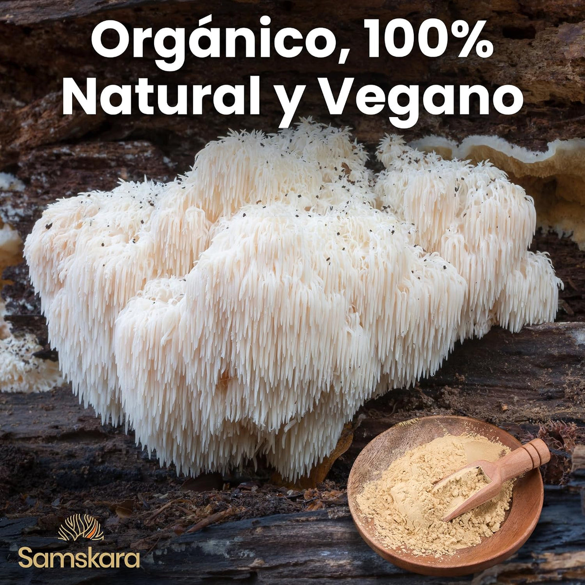 Complejo De 7 Setas Medicinales Bio - 100g | Complejo De Hongos Ecológico Vegano Para Café Y Smoothies, 100% Natural_3