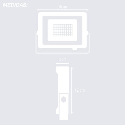 Proyector Fijo LED 30W