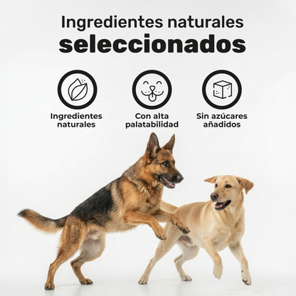 Pack 2x Polvo Dental Para Perros. Higiene Bucal. Suplementos Mascotas. 360 Gramos. Natuva Pets_5