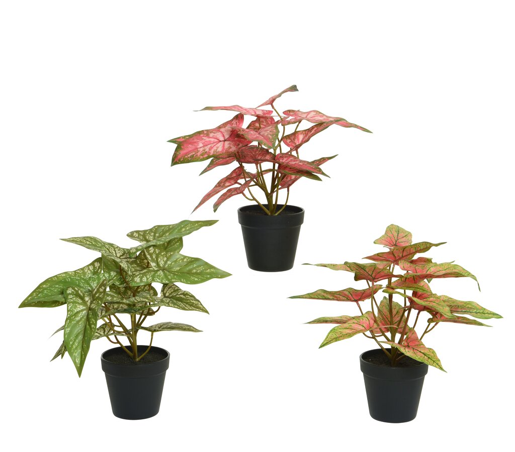 Planta Variada Artificial 37 Cm_0