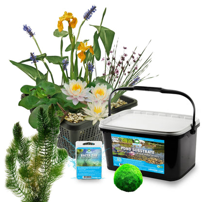 Mini Estanque Completo Blanco 25-90l - 4 Plantas, Ceratófilo Y 10 Marimos_2