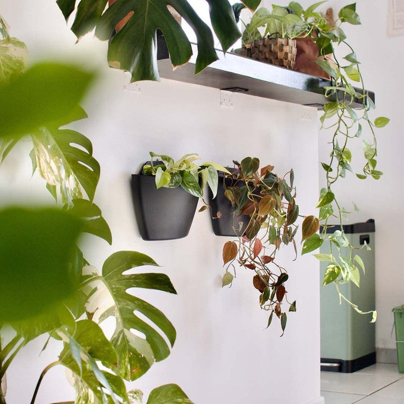 Jardín Vertical Modular Citysens Con Riego Manual De 3 Maceteros – Negro, Polipropileno 100% Reciclado_2
