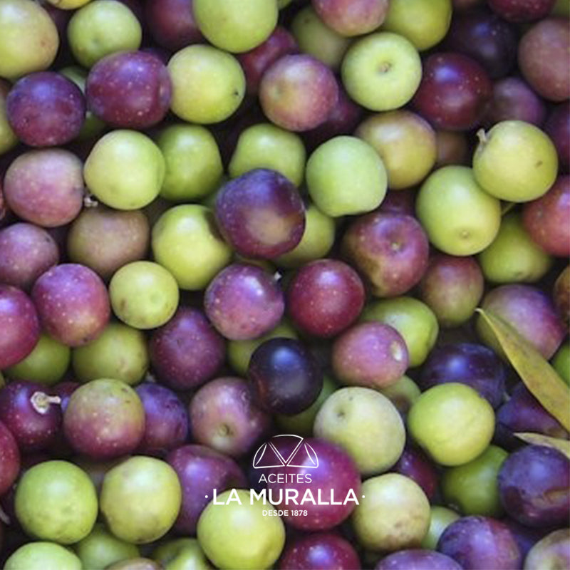 Cortijo La Muralla | Aceite De Oliva Virgen Extra | Variedad Arbequina | Botella 2 L (caja De 2)_2