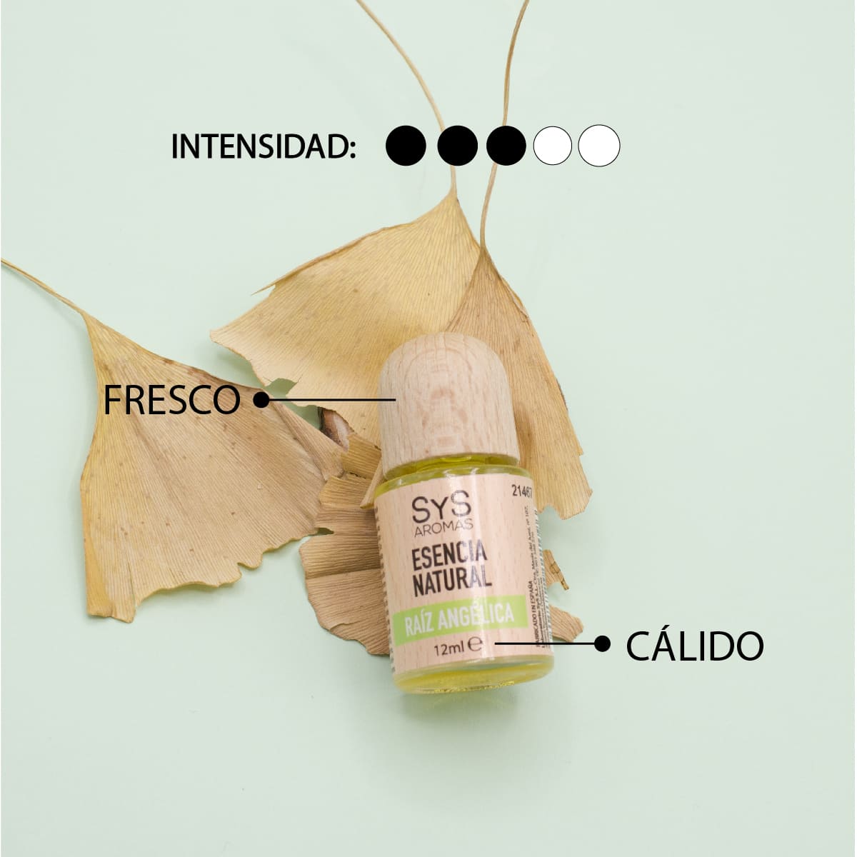 Esencia Natural Raíz Angélica SYS Aromas 12 ml | Aroma Herbal y Balsámico | Para Quemadores y Humidificadores_2